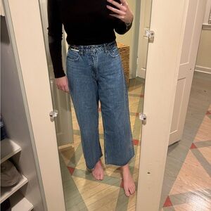Abercrombie Crop Wide Leg - Curve Love Jeans